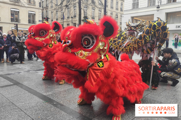 Défilé du Nouvel An Lunaire-Chinois Faubourg Saint-Honoré  - IMG20250205130401