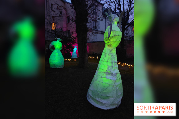 Exposition Silva Lumina au Centre Culturel Irlandais