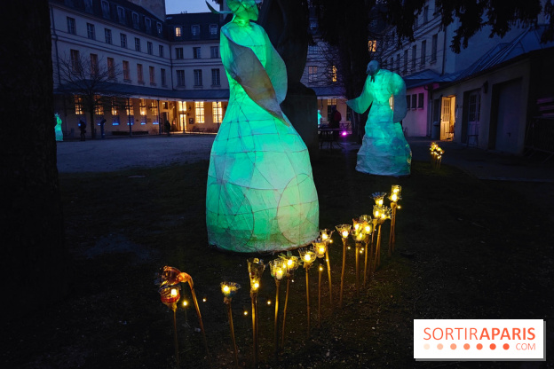 Exposition Silva Lumina au Centre Culturel Irlandais  - fotor 1738780143460