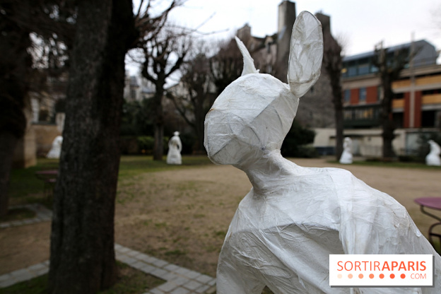 Exposition Silva Lumina au Centre Culturel Irlandais  - Silva Lumina 3 fotor 2025020691928