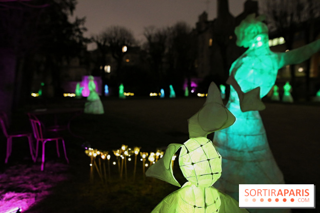 Exposition Silva Lumina au Centre Culturel Irlandais  - Silva Lumina 8 fotor 2025020691539