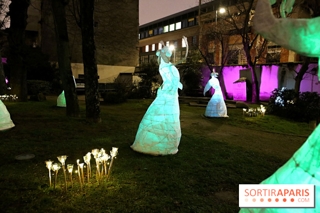 Exposition Silva Lumina au Centre Culturel Irlandais  - Silva Lumina 10