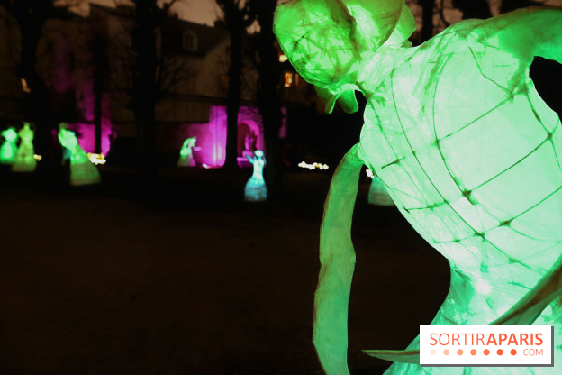 Exposition Silva Lumina au Centre Culturel Irlandais  - Silva Lumina 12