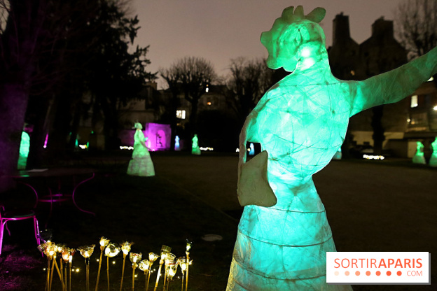 Exposition Silva Lumina au Centre Culturel Irlandais  - Silva Lumina 14 fotor 202502069205