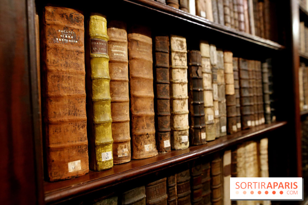 Centre Culturel Irlandais et sa bibliothèque  - IMG 7626 fotor 20250210172623