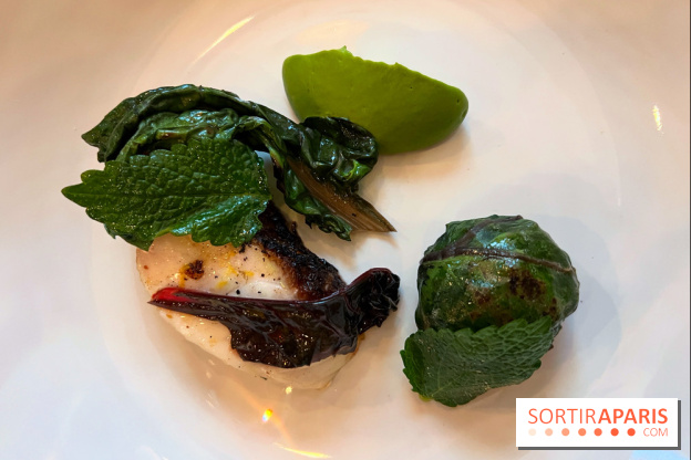 Frenchie - Pagre au binchotan, blette farcie