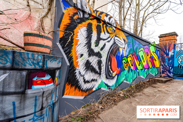 Colors Festival 2025 à Champigny spécial Amérique Latine -  A7C1286