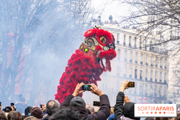 Défilé du Nouvel an Lunaire - Chinois 2025 Paris 13e - les photos