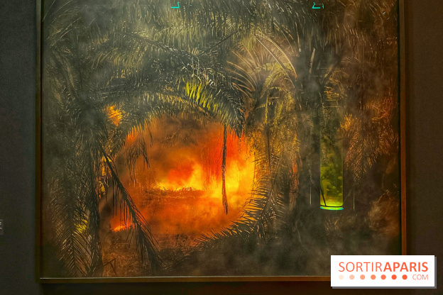 Paysages mouvants - IMG 8693