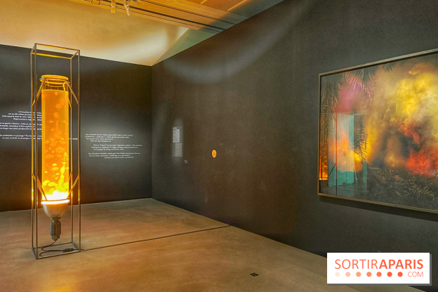 Paysages mouvants - IMG 8695