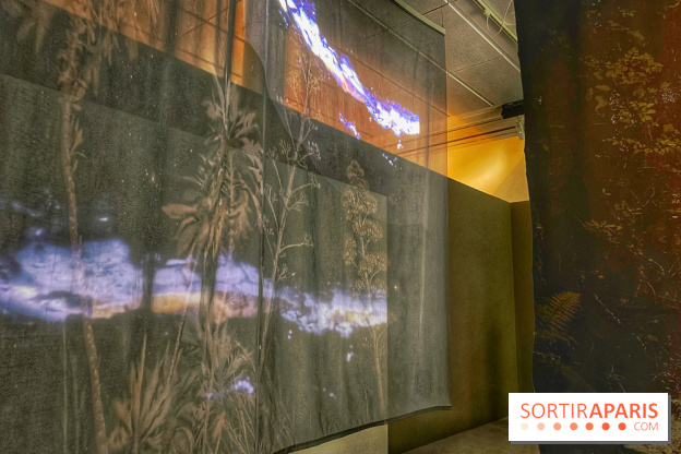 Paysages mouvants - IMG 8696