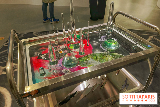 Paysages mouvants - IMG 8712