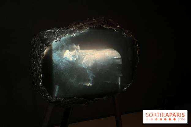 Paysages mouvants - IMG 8717