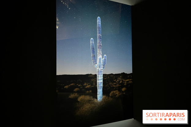 Paysages mouvants - IMG 8721