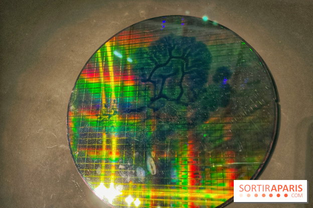 Paysages mouvants - IMG 8722