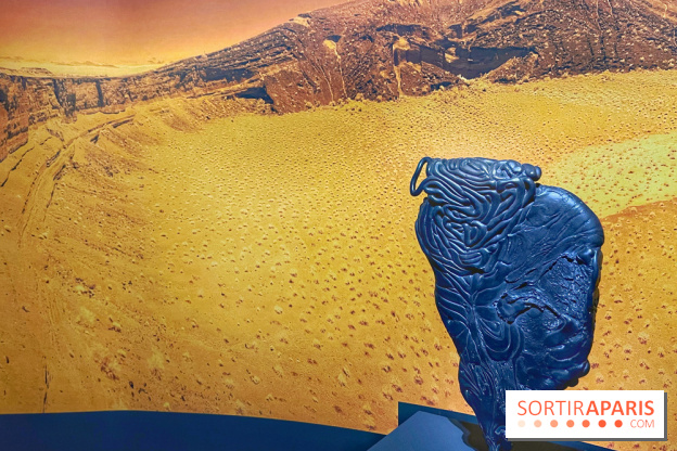 Paysages mouvants - IMG 8729