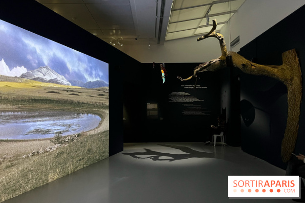 Paysages mouvants - IMG 8730