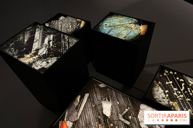 Paysages mouvants - IMG 8739