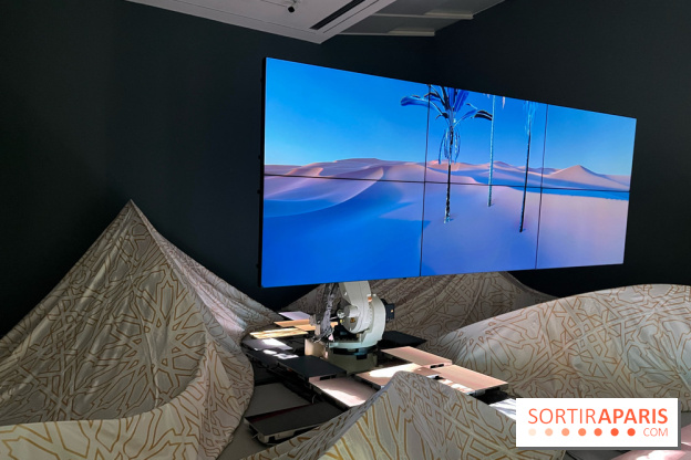 Paysages mouvants - IMG 8743