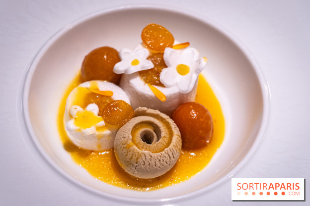 Le Baudelaire, restaurant étoilé du Burgundy par Mylo Levin - A7C02443