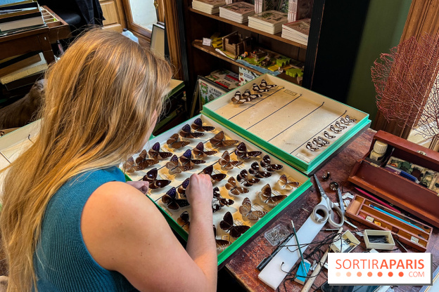 Deyrolle, l'incroyable cabinet de curiosités à Paris - nos photos