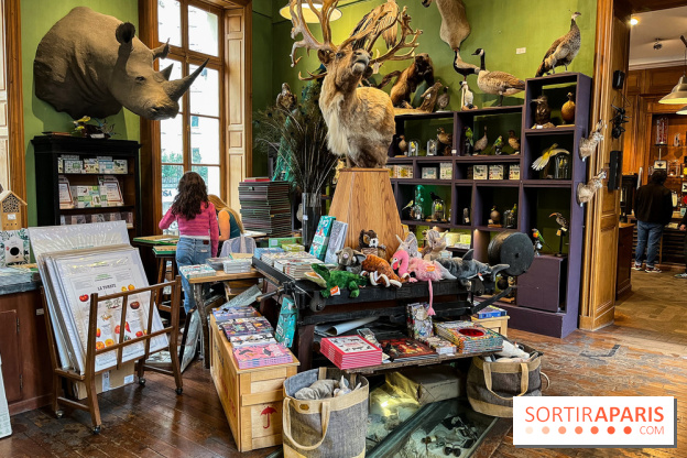 Deyrolle, l'incroyable cabinet de curiosités à Paris - nos photos