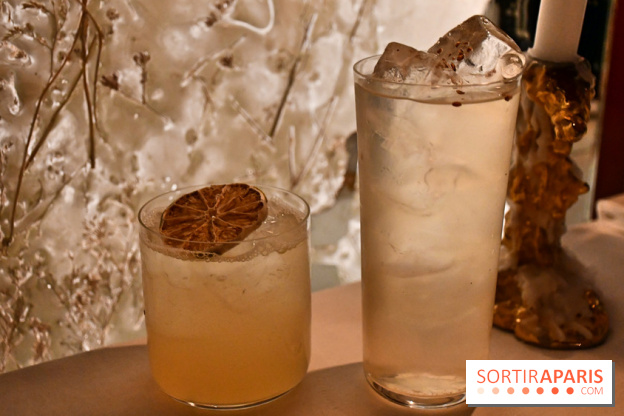 Ojii, l'excellent spot aux allures de bar tokyoïde à Paris - DSC 3538 Fotor