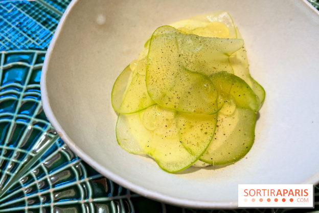 Le Christine - Sorbet pomme, kiwi déshydraté