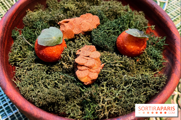 Le Christine - Topinambours soufflés, pomme dauphine