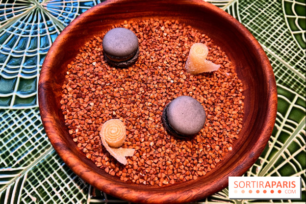 Le Christine - Macaron citron noir, bonbon pomme yuzu