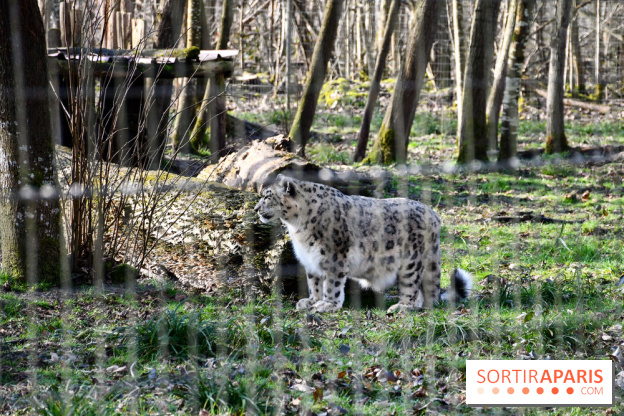 Lumigny Safari Reserve - nos photos - image00043