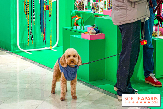 Je T'aime Comme Un Chien : food, mode, déco ... une expo qui a du chien au Bon Marché Rive Gauche - image00003