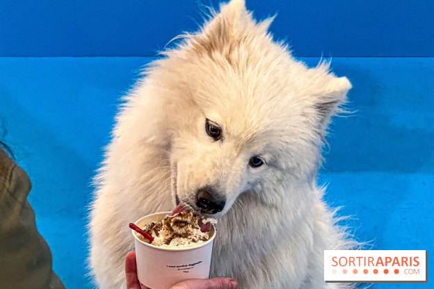 Je T'aime Comme Un Chien : food, mode, déco ... une expo qui a du chien au Bon Marché Rive Gauche - image00030