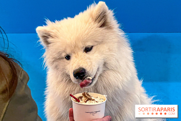 Je T'aime Comme Un Chien : food, mode, déco ... une expo qui a du chien au Bon Marché Rive Gauche