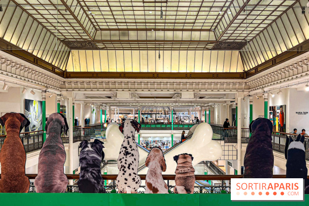 Je T'aime Comme Un Chien : food, mode, déco ... une expo qui a du chien au Bon Marché Rive Gauche - image00041