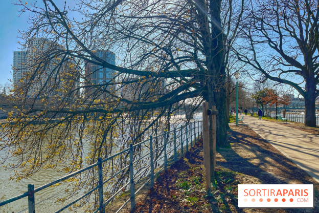Île aux Cygnes - IMG 9071