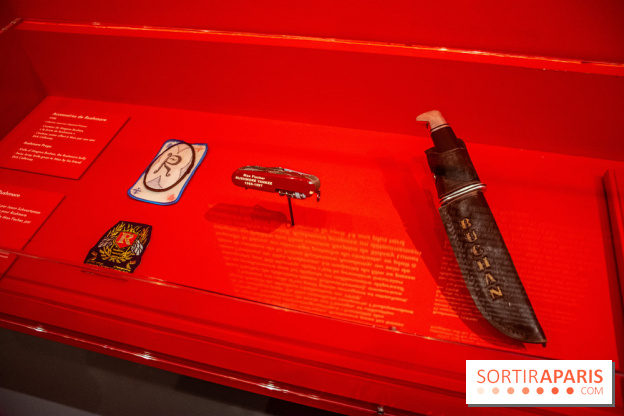 Exposition Wes Anderson à la Cinémathèque - DSC 2442