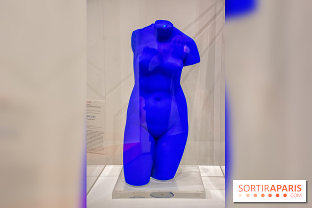 Exposition Tous Léger! au Musée du Luxembourg - DSC 2545