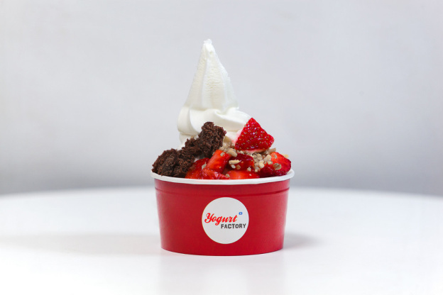 Yogurt Factory à Paris