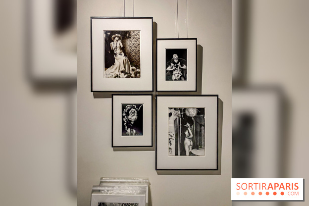 Exposition Irina Ionesco aux galeries Rachel Hardouin et La Lison