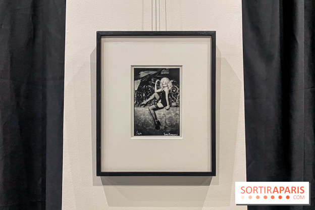 Exposition Irina Ionesco aux galeries Rachel Hardouin et La Lison