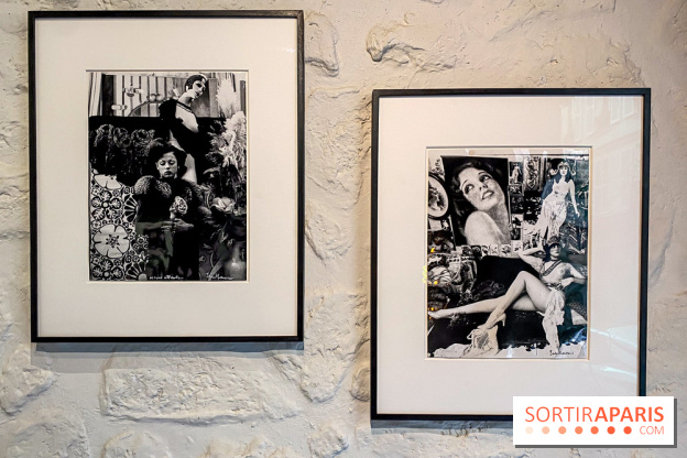 Exposition Irina Ionesco aux galeries Rachel Hardouin et La Lison