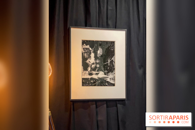Exposition Irina Ionesco aux galeries Rachel Hardouin et La Lison