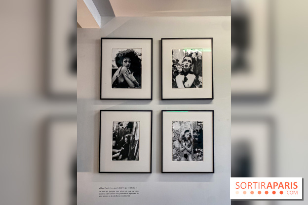 Exposition Irina Ionesco aux galeries Rachel Hardouin et La Lison