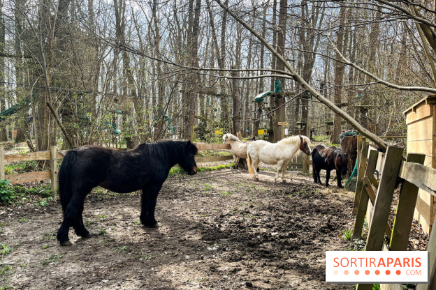 Sherwood Parc 2025 - nos photos - image00018