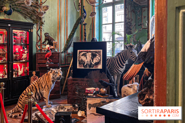 Johnny Depp dévoile une œuvre à découvrir gratuitement dans un cabinet de curiosités parisien