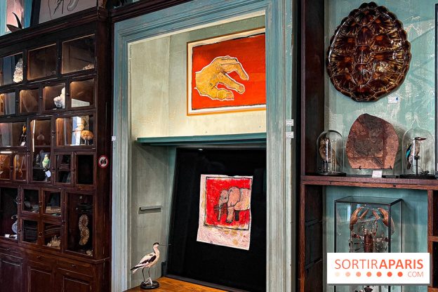 L'exposition gratuite des œuvres de Johnny Depp dans un cabinet de curiosités parisien - image00034