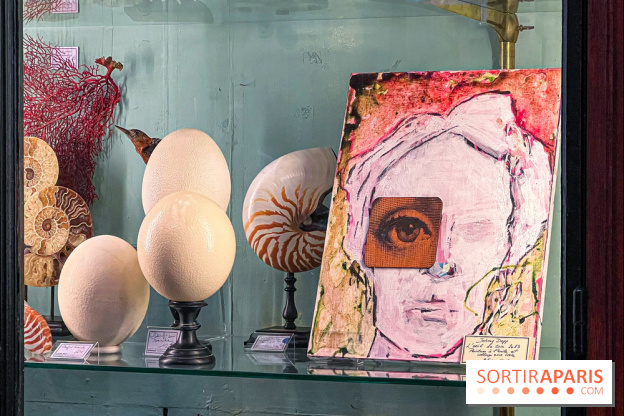 L'exposition gratuite des œuvres de Johnny Depp dans un cabinet de curiosités parisien - image00042