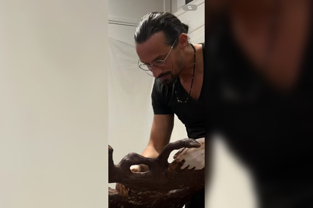 Printemps Canopee Kristaline - IMG 9308