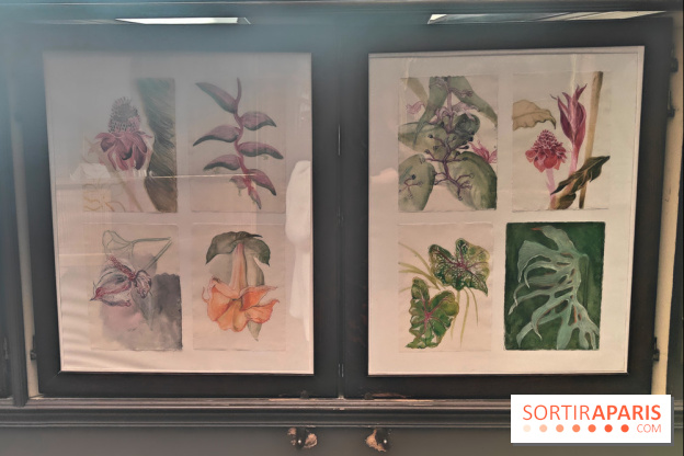 Des Chimères : l'exposition mystique à découvrir au musée Gustave Moreau, nos photos - fotor 1743190945332